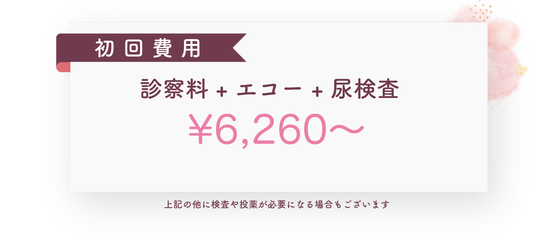 費用のご案内